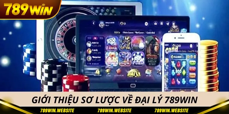 Giới thiệu về đại lý 789win